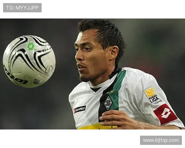 德甲各球队球员薪水分布及顶薪球员排行