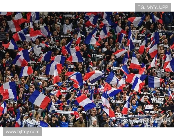 意甲足球队倒塌事件及其对联赛影响