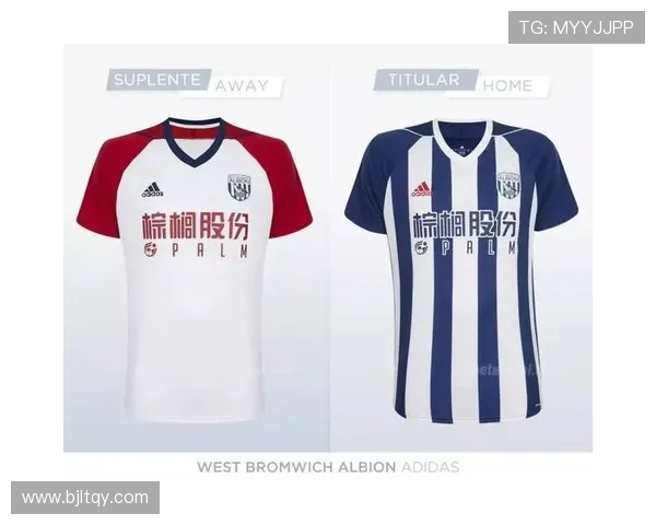 英超罂粟花球衣年份与球队参与统计